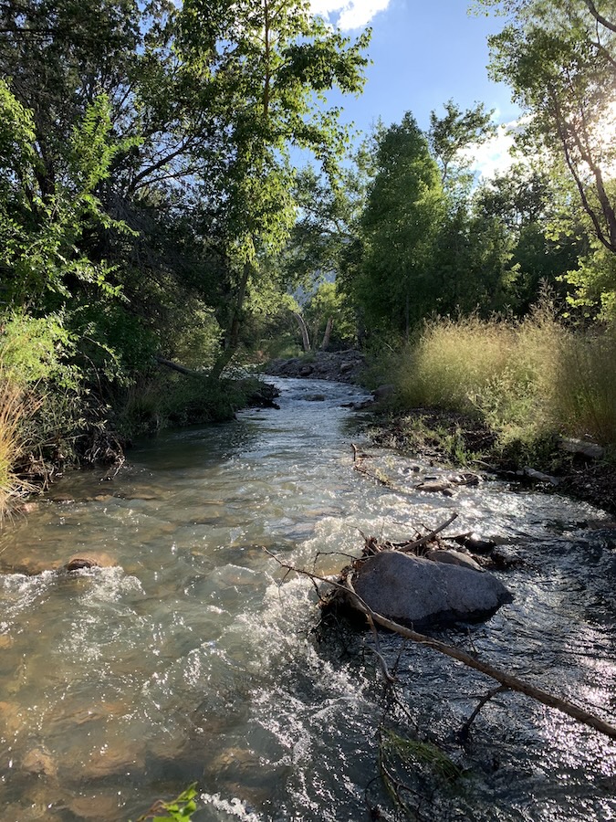 River Web