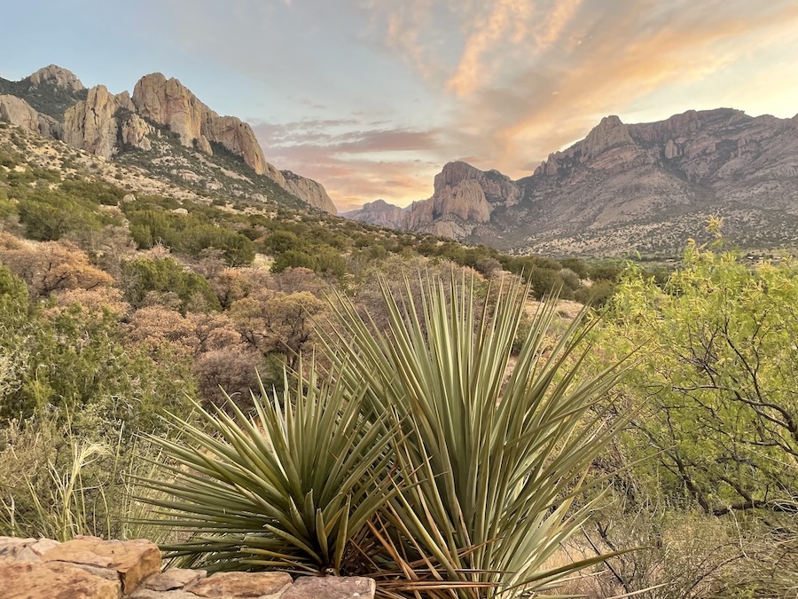 Home - Chiricahua Land Conservancy