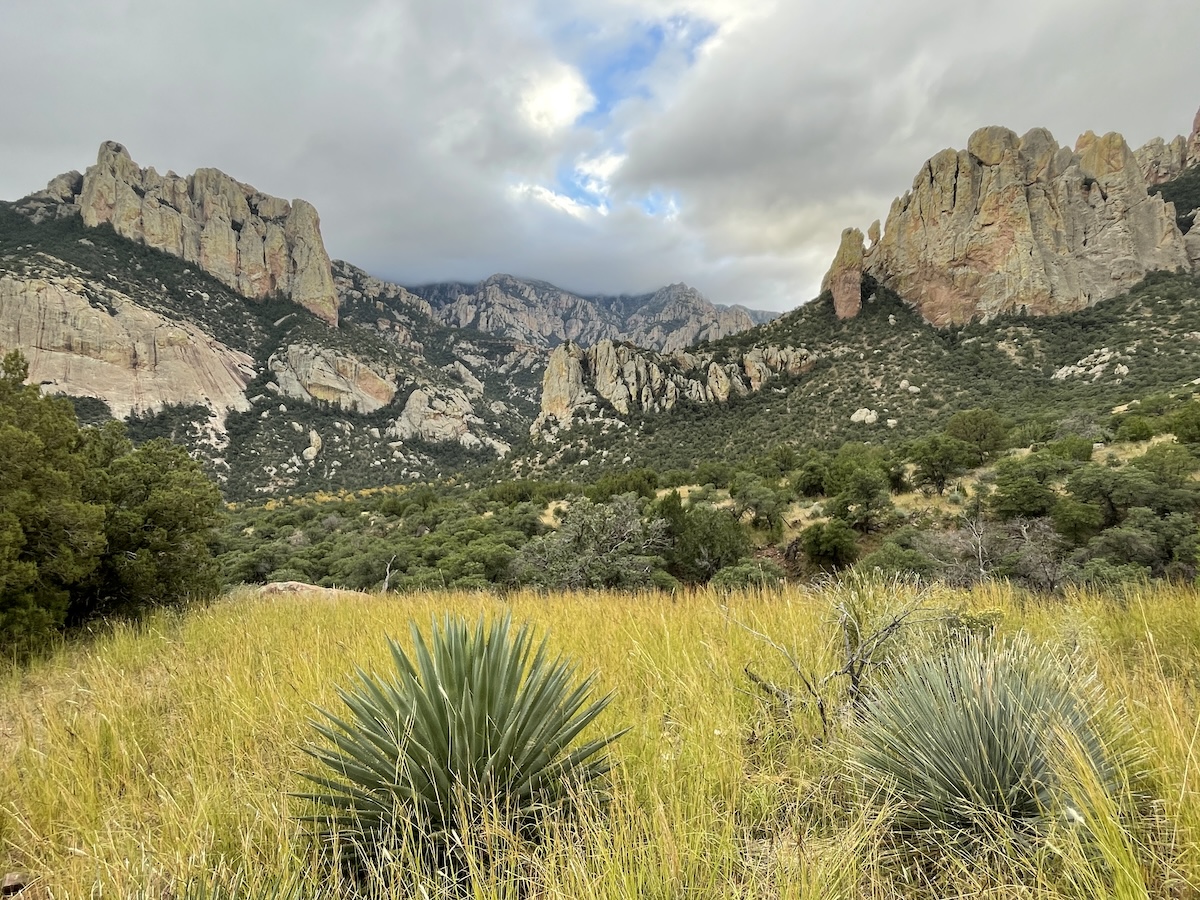 chiricahualandconservancy_conservation